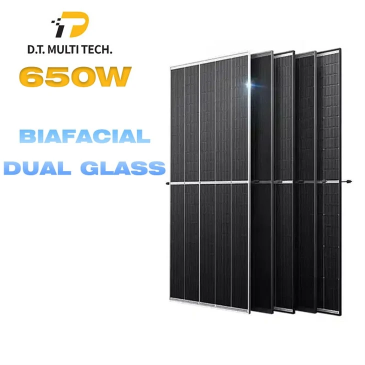 Bifacial Module Bifacial Module